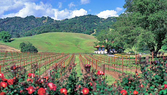 California%20photo.jpg