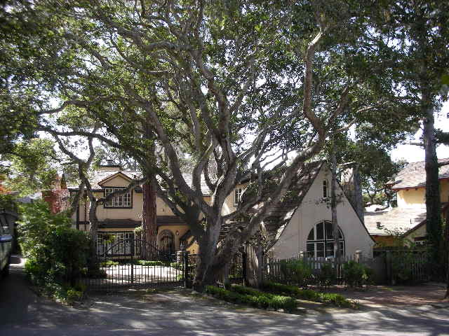 Dwellings%20and%20trees.JPG