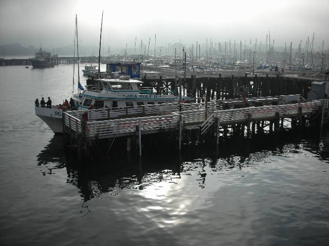 Monterey%20harbor%20fog.jpg