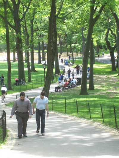 dappled_light11.jpg